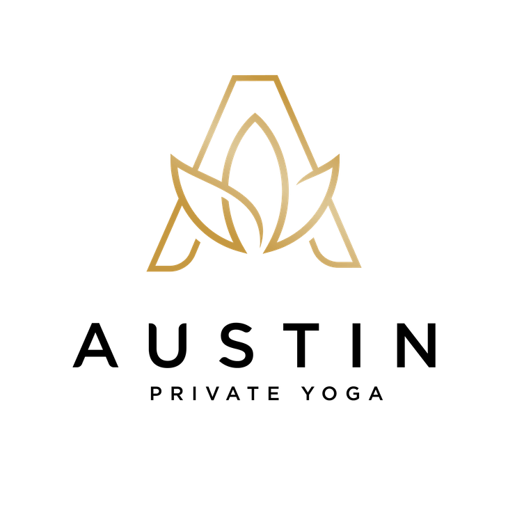 APY Logo